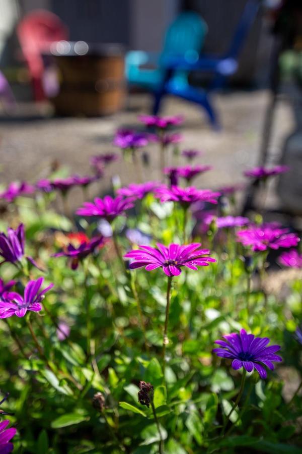 The Mint Cottage With Garden アンカレッジ エクステリア 写真