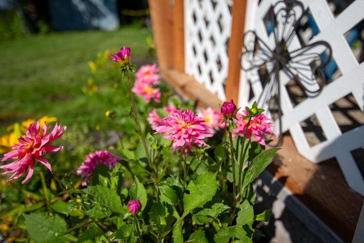 The Mint Cottage With Garden アンカレッジ エクステリア 写真